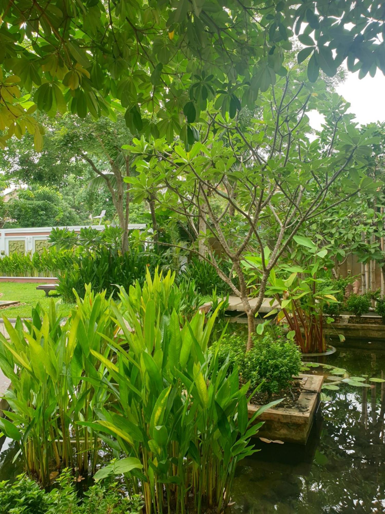 Bamboo Retreat Villa Siem Reap Exterior foto